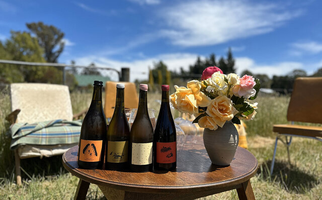 ニュージーランドの銘醸地マールボロに日本人生産者を訪ねる｜TRAVEL