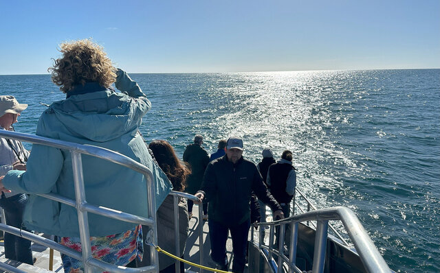 ニュージーランドの南島、カイコウラで地球の息吹を感じる｜TRAVEL