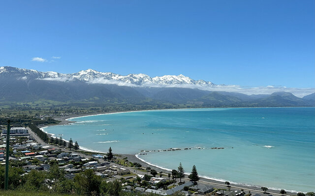 ニュージーランドの南島、カイコウラで地球の息吹を感じる｜TRAVEL