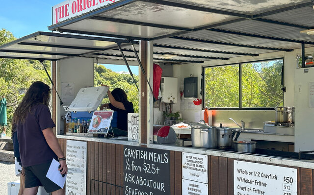 ニュージーランドの南島、カイコウラで地球の息吹を感じる｜TRAVEL