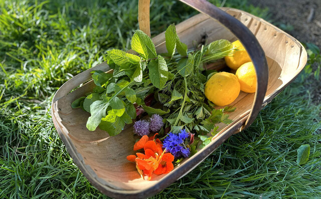 ニュージーランドの南島、カイコウラで地球の息吹を感じる｜TRAVEL