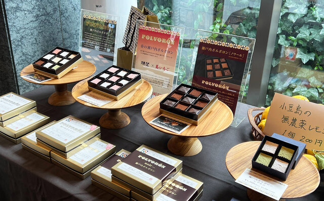 花人・赤井勝氏プロデュース。屋内花火イベント「瑞華院 了聞」主催 さくら祭り|EVENT 花人・赤井勝氏プロデュース。屋内花火イベント「瑞華院 了聞」主催 さくら祭り|EVENT