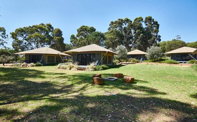 プレミアムワイン、海、オリーブ……。マーガレットリバーで自然の恵みを享受する|TRAVEL プレミアムワイン、海、オリーブ……。マーガレットリバーで自然の恵みを享受する|TRAVEL