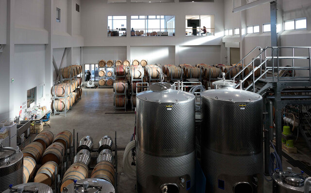 長野のテロワールを現地で感じて、脳で飲むワインがサイコーなのです！｜TRAVEL