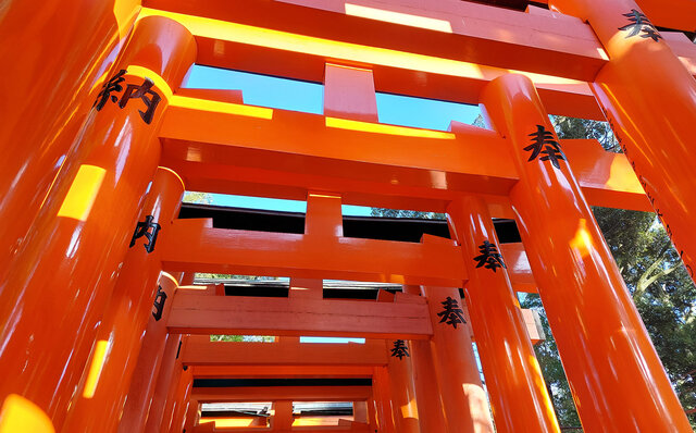 「そうだ 京都、行こう。」 今改めて夏の古都を訪れて味わう、非日常の特別な“癒し”｜TRAVEL