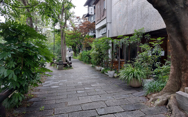 「そうだ 京都、行こう。」 今改めて夏の古都を訪れて味わう、非日常の特別な“癒し”｜TRAVEL