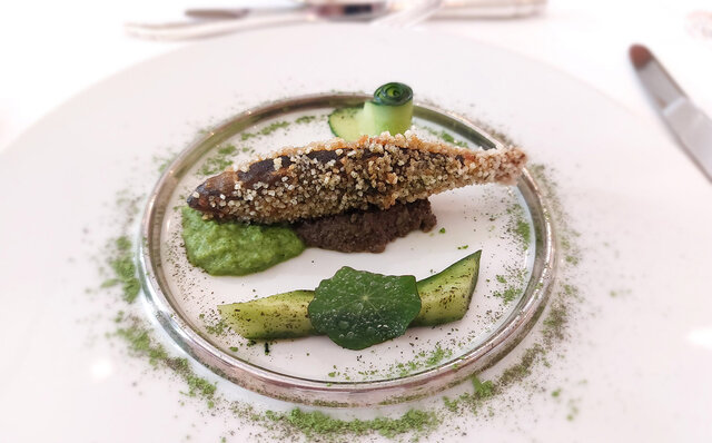 「そうだ 京都、行こう。」 今改めて夏の古都を訪れて味わう、非日常の特別な“癒し”｜TRAVEL