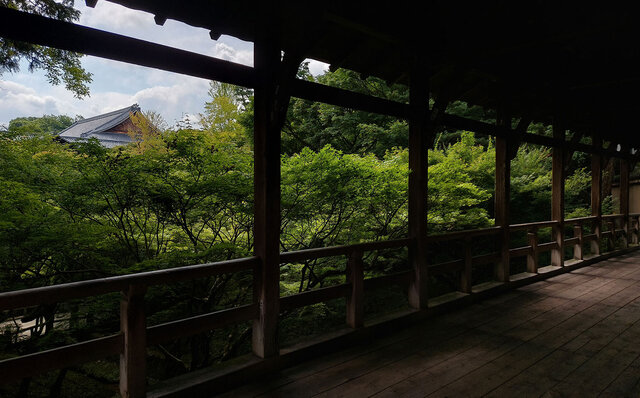 「そうだ 京都、行こう。」 今改めて夏の古都を訪れて味わう、非日常の特別な“癒し”｜TRAVEL