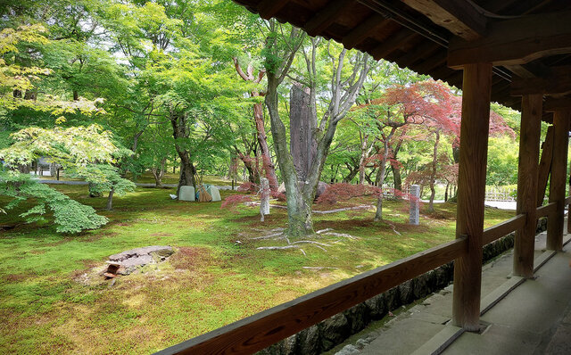 「そうだ 京都、行こう。」 今改めて夏の古都を訪れて味わう、非日常の特別な“癒し”｜TRAVEL