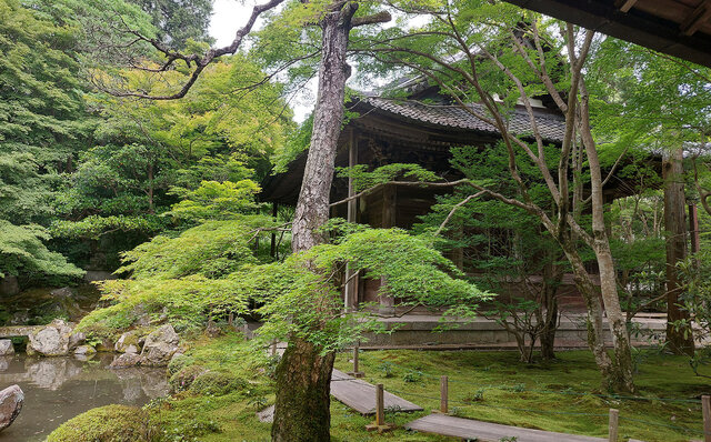 「そうだ 京都、行こう。」 今改めて夏の古都を訪れて味わう、非日常の特別な“癒し”｜TRAVEL