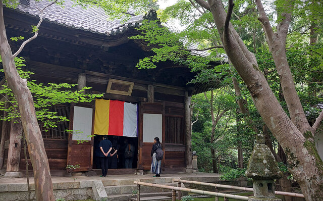 「そうだ 京都、行こう。」 今改めて夏の古都を訪れて味わう、非日常の特別な“癒し”｜TRAVEL