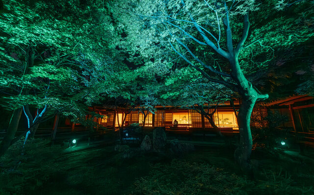 京の象徴のひとつ最古の禅寺 建仁寺で ZEN NIGHT WALK KYOTOが注目される｜EVENT