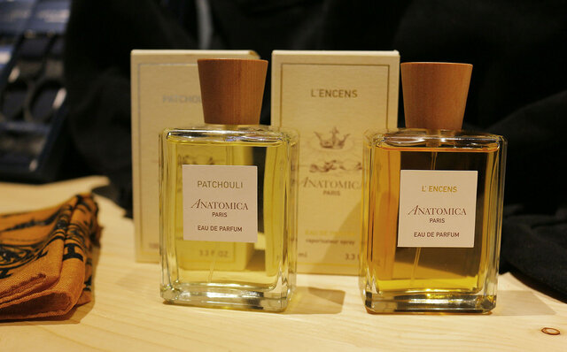 ANATOMICA｜アナトミカ