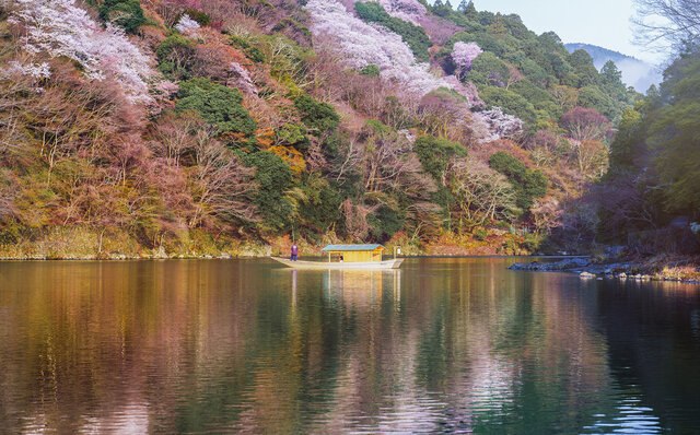 星のや|現代日本で最も洗練された桜を愛でる体験 星のや|現代日本で最も洗練された桜を愛でる体験