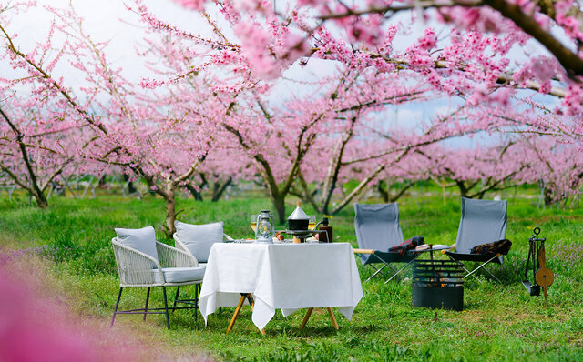 星のや|現代日本で最も洗練された桜を愛でる体験 星のや|現代日本で最も洗練された桜を愛でる体験
