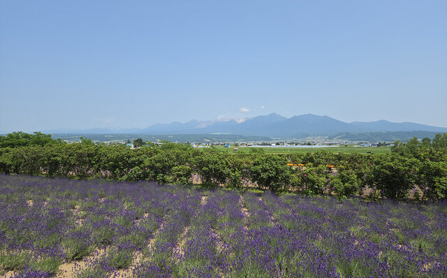 ノゾホテルから見る、富良野の強さと豊かさ ノゾホテルから見る、富良野の強さと豊かさ