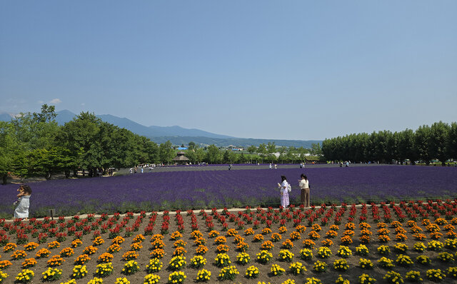 ノゾホテルから見る、富良野の強さと豊かさ ノゾホテルから見る、富良野の強さと豊かさ