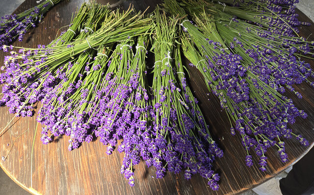 ノゾホテルから見る、富良野の強さと豊かさ ノゾホテルから見る、富良野の強さと豊かさ