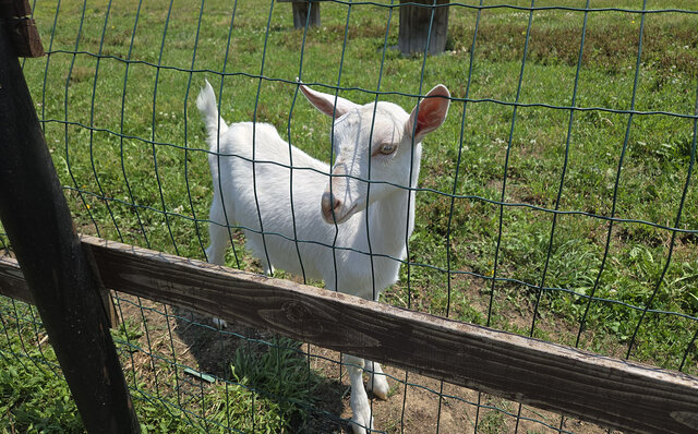 ノゾホテルから見る、富良野の強さと豊かさ ノゾホテルから見る、富良野の強さと豊かさ