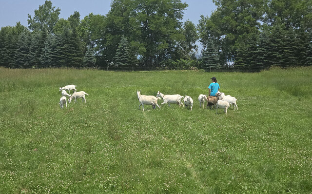 ノゾホテルから見る、富良野の強さと豊かさ ノゾホテルから見る、富良野の強さと豊かさ