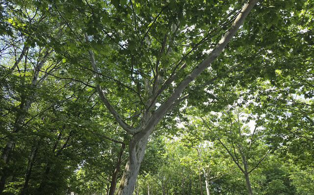 ノゾホテルから見る、富良野の強さと豊かさ ノゾホテルから見る、富良野の強さと豊かさ