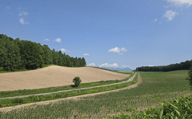 ノゾホテルから見る、富良野の強さと豊かさ ノゾホテルから見る、富良野の強さと豊かさ