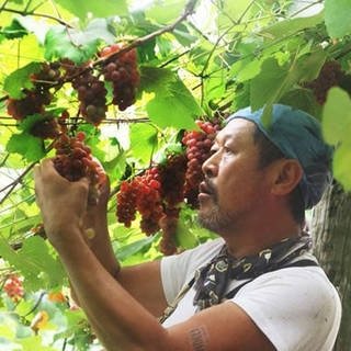 山形発、ニュージーランドのブルワリー・ワイナリーとコラボレーションしたワイン｜EAT