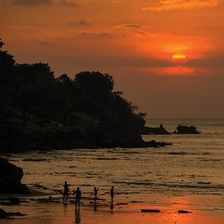 お好みはどちら？　ビーチと森、ふたつのフォーシーズンズを旅する｜TRAVEL