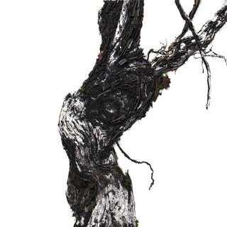 ヴィック ムニーズとルイナールのコラボ作品が東京初上陸|Ruinart