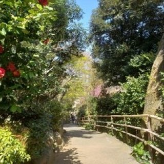 連載エッセイ｜#ijichimanのぼやき「江戸川橋編」