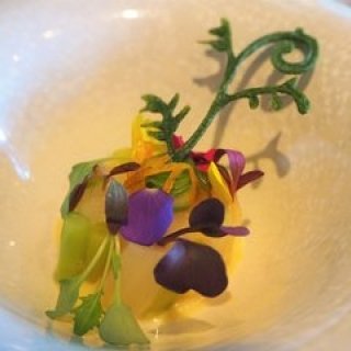 連載｜南アフリカ旅行記