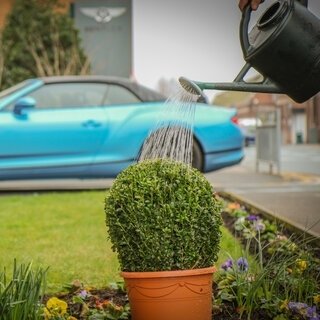 ベントレーの英国本社で新たな水リサイクルシステムを導入｜Bentley