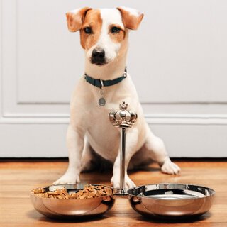 ブランド初のペットコレクション「ROYAL JACK」｜Christofle