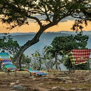 マルニとファーフェッチによる限定デザインコレクション「ZOOTERICO」が登場｜MARNI×FARFETCH