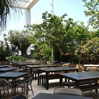 空と植物とエキゾチックな料理を楽しむビアテラス｜SHIRONONIWA