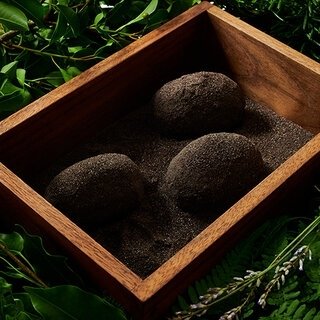 「知る」は、おいしい！　星野リゾート　リゾナーレ八ヶ岳｜TRAVEL