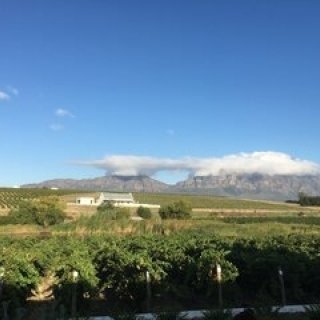 連載｜南アフリカ旅行記