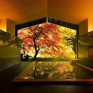 GOTOトラベルで満喫！　星野リゾート 界ブランドのニッポン全国紅葉温泉｜TRAVEL