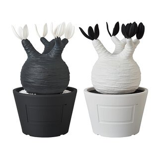 BOTANIZEとのコラボで塊根植物をフィギュア化。VCD Pachypodium Gracilius｜MEDICOM TOY