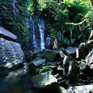 星野リゾート 西表島ホテルで、ストレスを完全解放させる2泊3日のプログラム｜TRAVEL