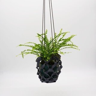 植物を空間のアクセントにするハンギングツール ｜Araheam x RHYTHMOS