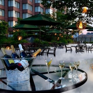 ホテル椿山荘東京で涼やかにシャンパンフリーフローを楽しむ「シャンパンガーデン2021」｜EAT