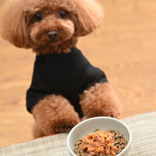 犬にも人にも環境にも優しいドッグフード。「Foodie Dogs Tokyo」 ｜FOODIE DOGS TOKYO