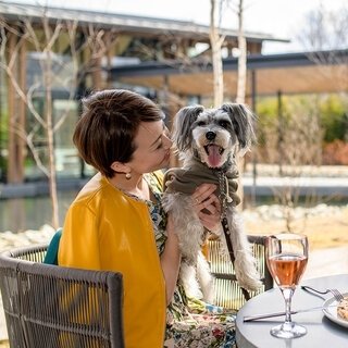 愛犬とともに軽井沢の自然を満喫するドッグフレンドリーテラスがオープン｜HOTEL INDIGO KARUIZAWA