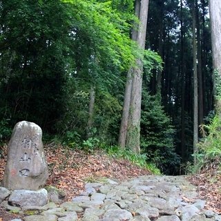 かつて修験者たちが歩んだ登山道「村山道」。富士山信仰の歴史｜TRAVEL