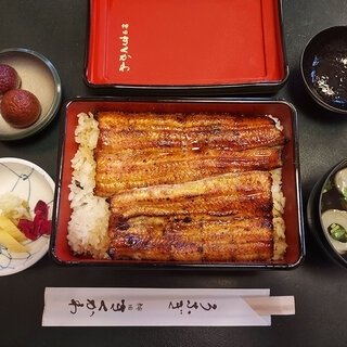 連載エッセイ｜#ijichimanのぼやき「ウナギ」