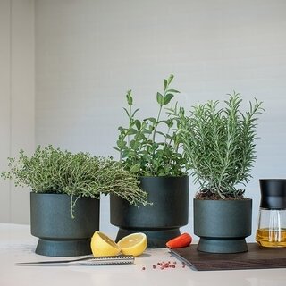 環境活動家のシーネ・ヴェーネバークと協働。再生プラスチック製のフラワーポット｜ROSENDAHL COPENHAGEN