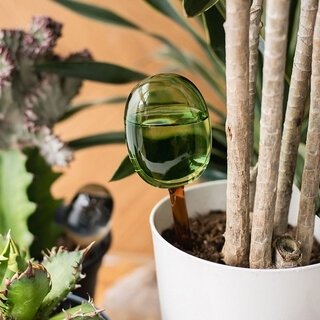 グリーンライフをより豊かに。バイカラーによるガラス製自動給水器が登場｜amabro