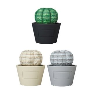 VCD Euphorbia obesa｜MEDICOM TOY