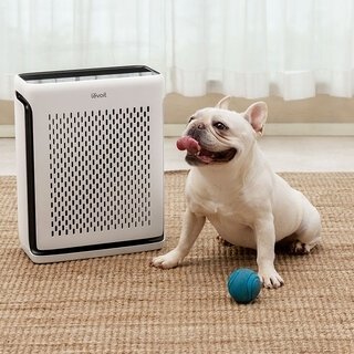 深呼吸できる空気を届ける「Levoit Vital 100S 空気清浄機」 ｜PRODUCT